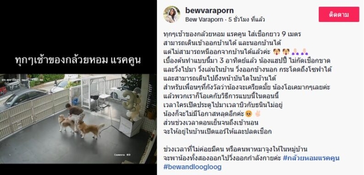 #บิววราภรณ์ โพสต์ล่าสุดปมดราม่าเดือดหมาหลุดไปกัดหมาคู่กรณีตาย ไม่จบระอุขึ้นเทรนด์ X