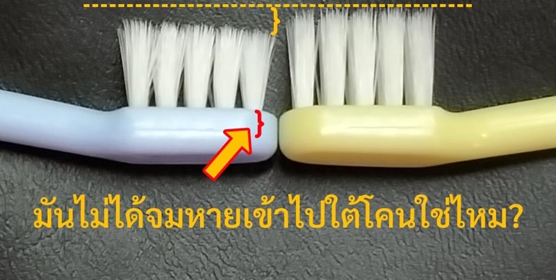 เคยสังเกตไหม แปรงสีฟันที่เราใช้ ขนแปรงมันสั้นลงเรื่อย ๆ เป็นเพราะอะไรกัน