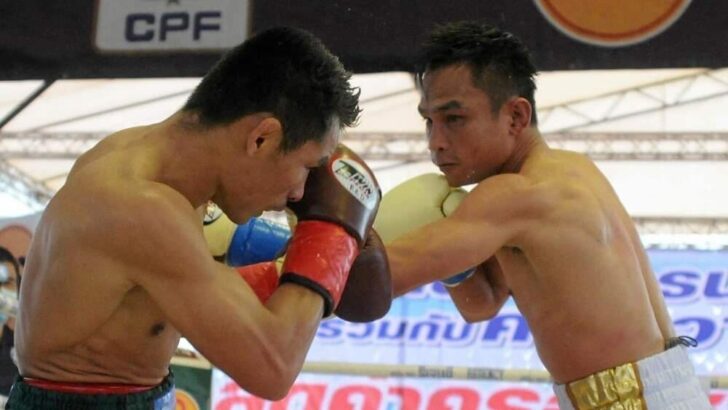 ‘ครูปุ๋ย-ธาวุฒิ’ ผู้ตัดสินรุ่นเก๋า ชี้ขาดศึกกำปั้นสายเลือดไทย ‘ปัญญา-ดนัย’