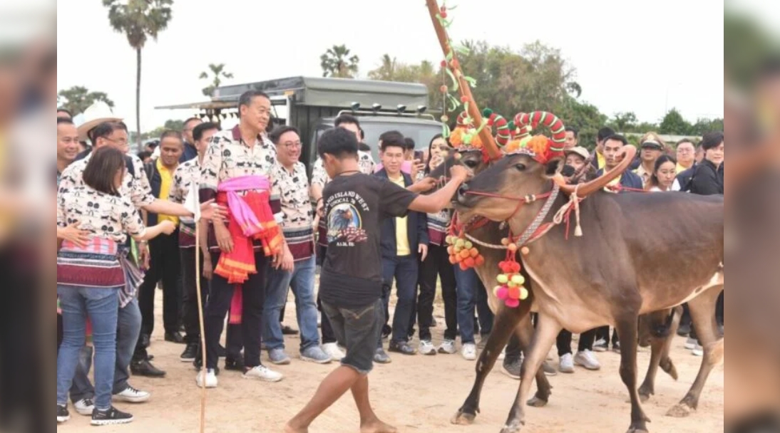 ’เศรษฐา‘ สั่งแก้กฎกระทรวงขยายเวลาเล่นพนันแข่งขันวัวลานยันเช้า