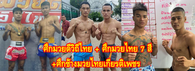 ศึกมวยดีวิถีไทย+ศึกมวยไทย7สี+ศึกช้างมวยไทยเกียรติเพชร