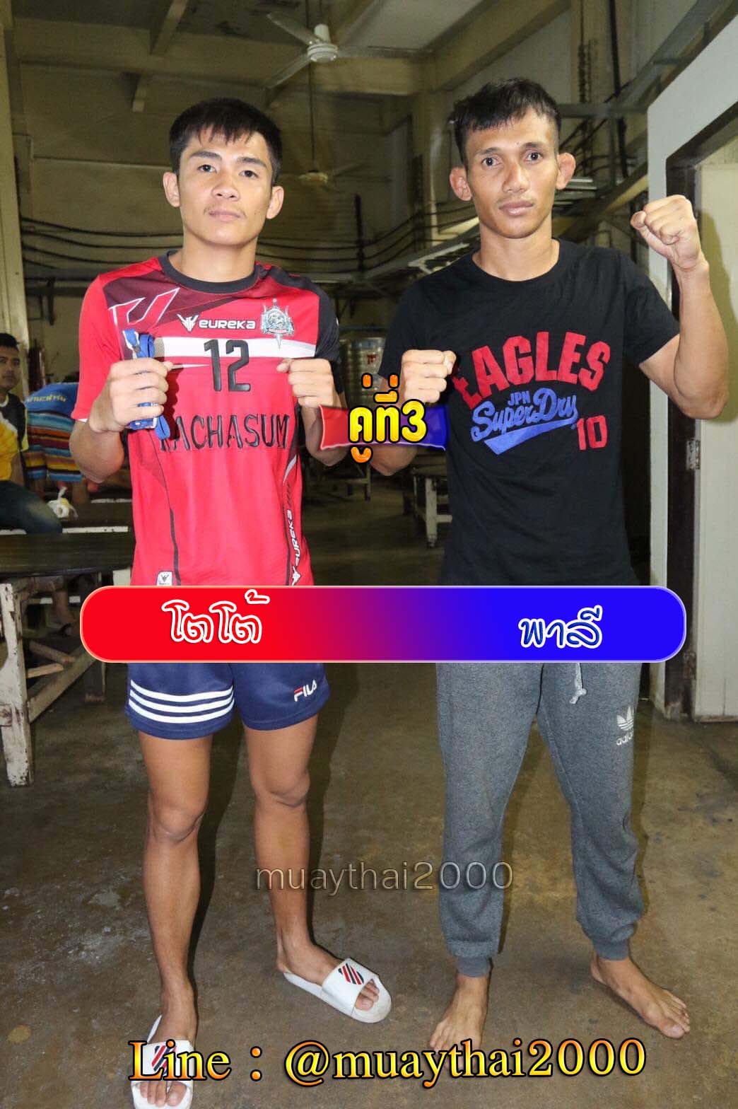 โตโต้-พาลี