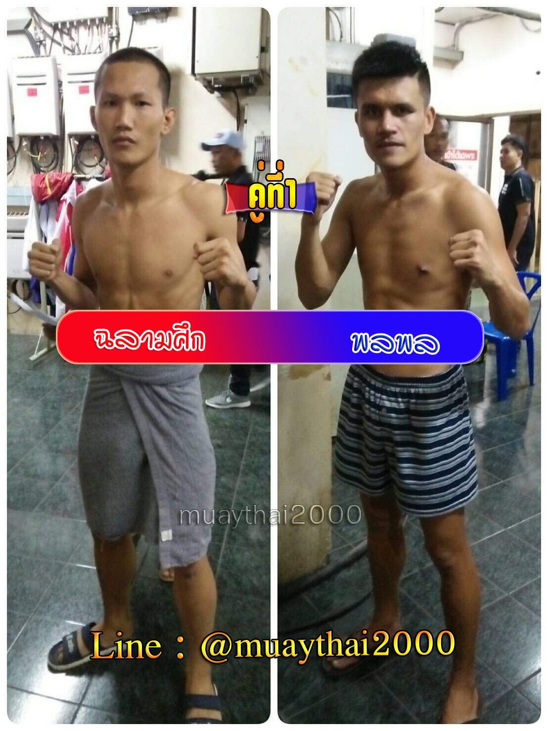 ฉลามศึก-พลพล