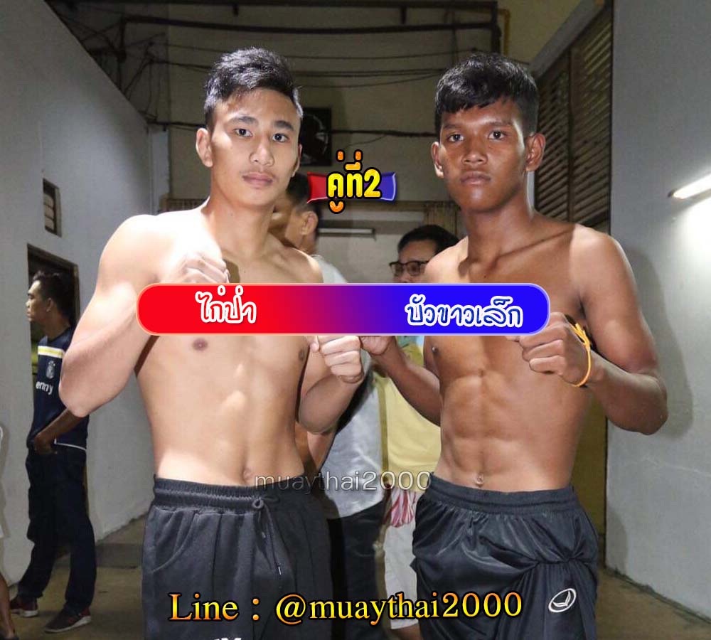 ไก่ป่า-บัวขาวเล็ก