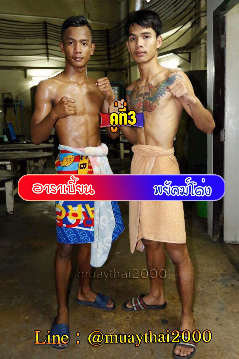 อาราเบี้ยน-พยัคฆ์โด่ง