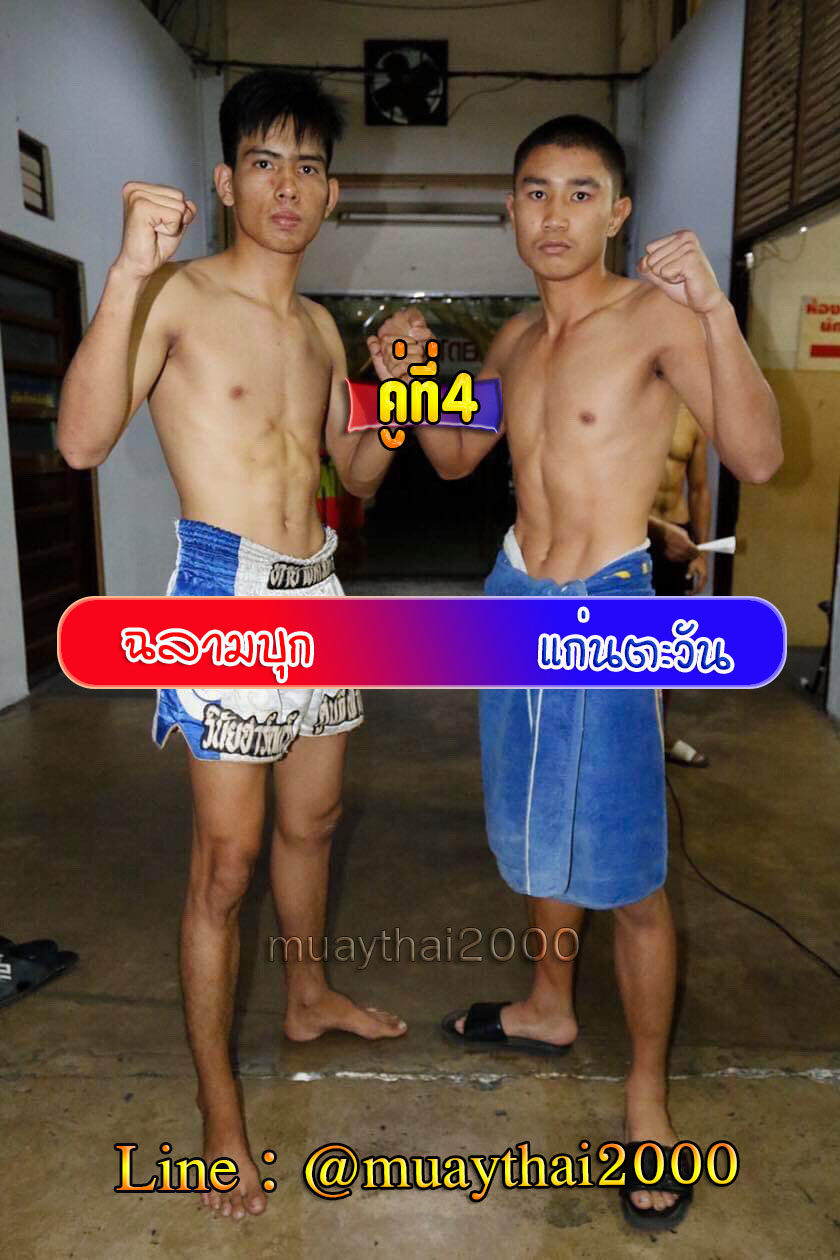 ฉลามบุก-แก่นตะวัน