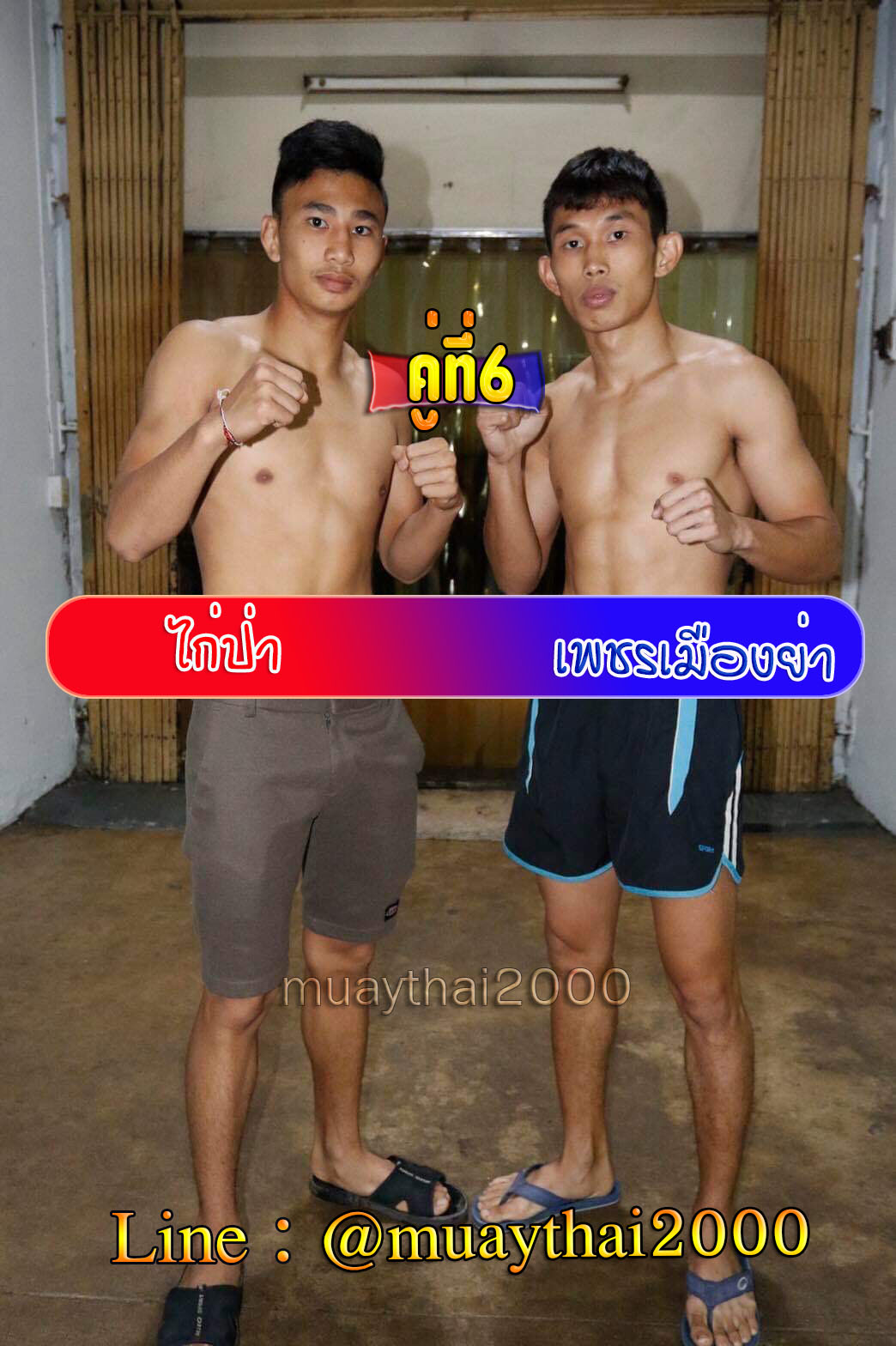 ไก่ป่า-เพชรเมืองย่า