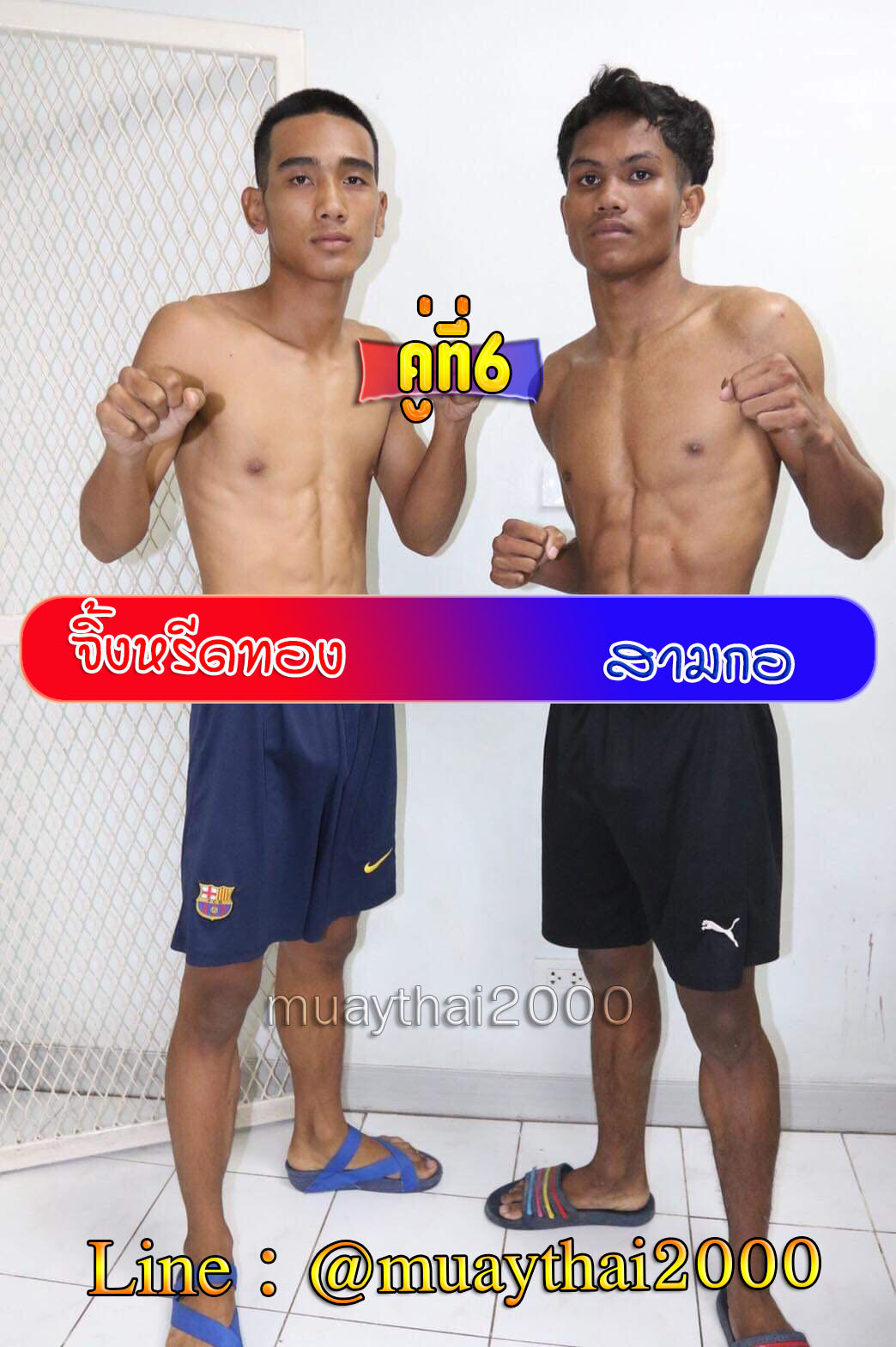 จิ้งหรีดทอง-สามกอ