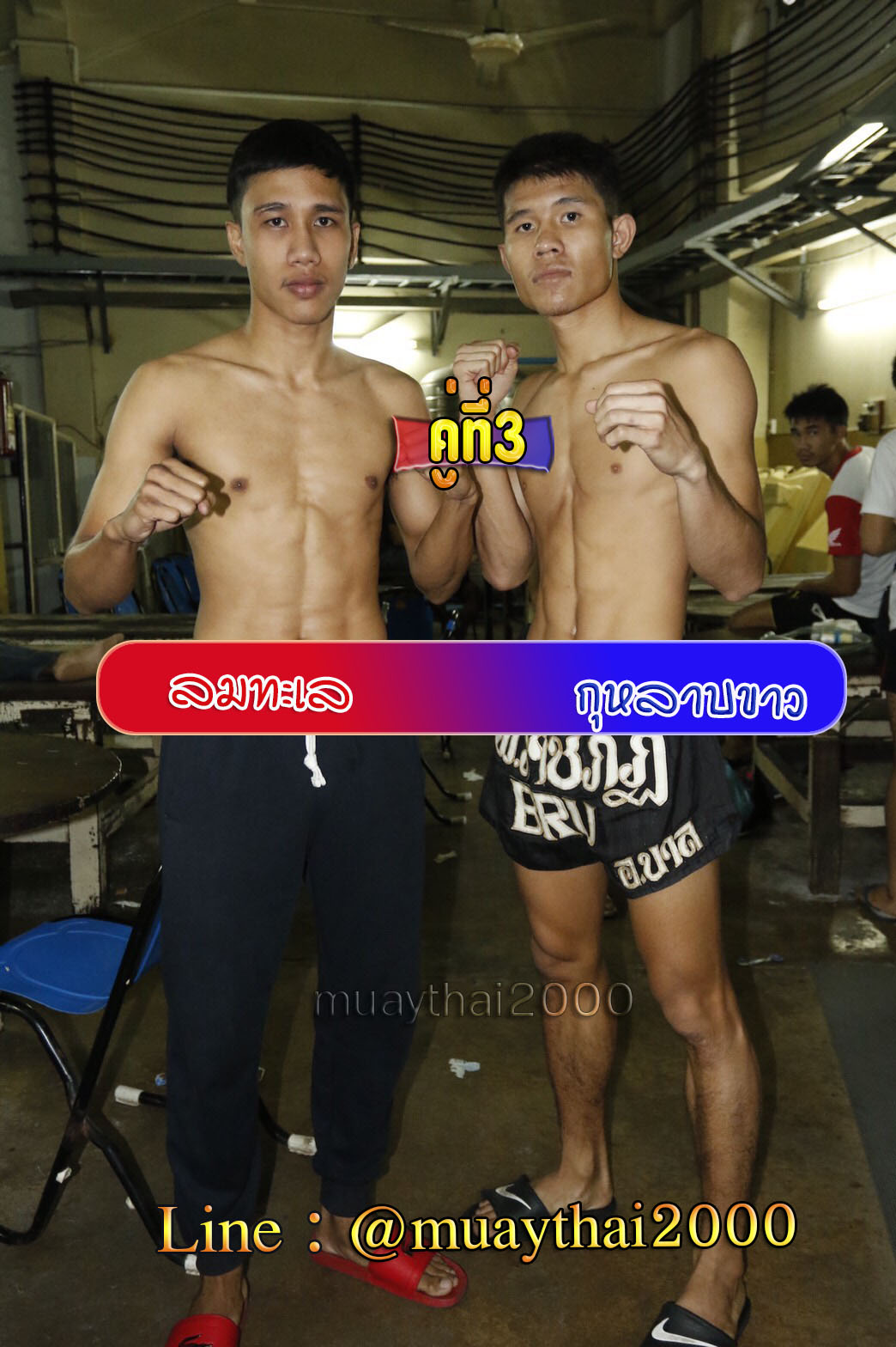 ลมทะเล-กุหลาบขาว