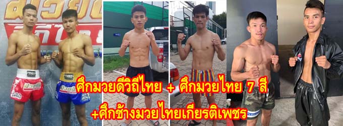 ศึกมวยดีวิถีไทย+ศึกมวยไทย7สี+ศึกช้างมวยไทยเกียรติเพชร