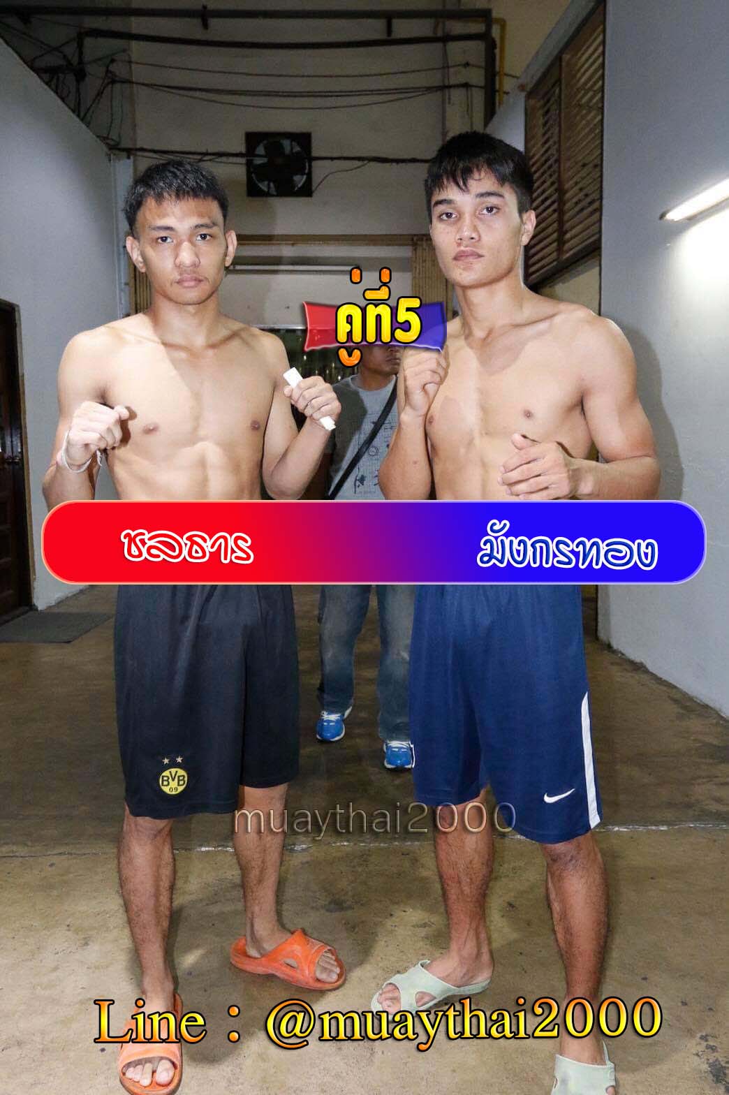 ชลธาร-มังกรทอง