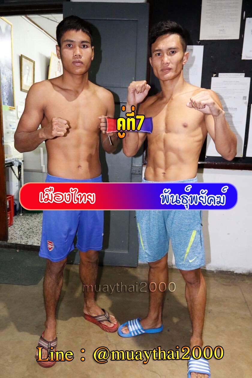 เมืองไทย-พันธุ์พยัคฆ์