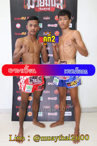 Arabian_Thepmangkon_2-1