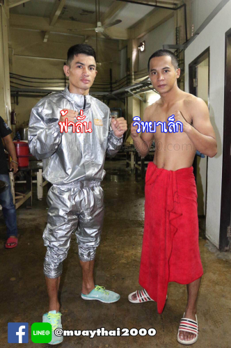 fahlan_vitayalek2000