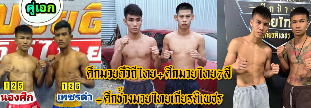ศึกมวยดีวิถีไทย+ศึกมวยไทย7สี+ศึกช้างมวยไทยเกียรติเพชร