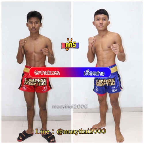 Tahkhabphet_Muangfang_5-1