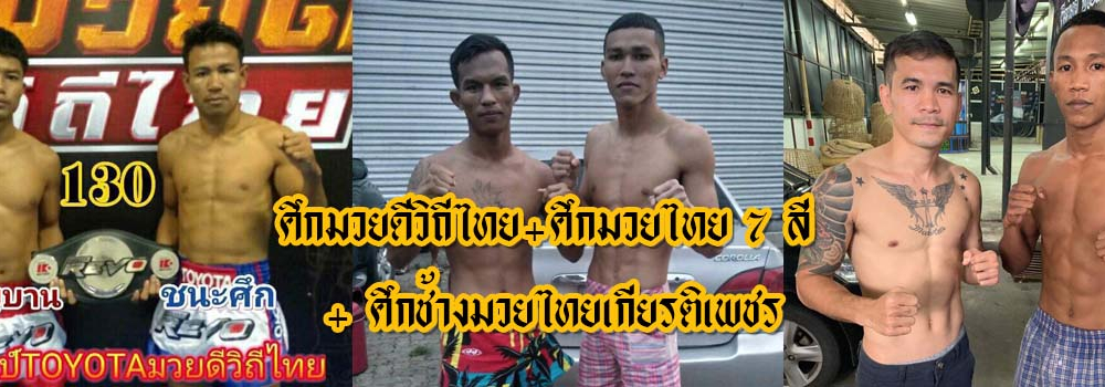 ศึกมวยดีวิถีไทย+ศึกมวยไทย7สี+ศึกช้างมวยไทยเกียรติเพชร