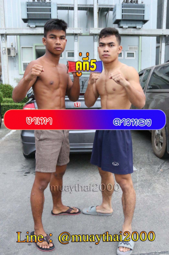 Ngathao_Dawthong_5-1