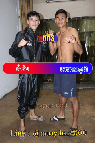 Kamchai_Dechsongwut_3-1