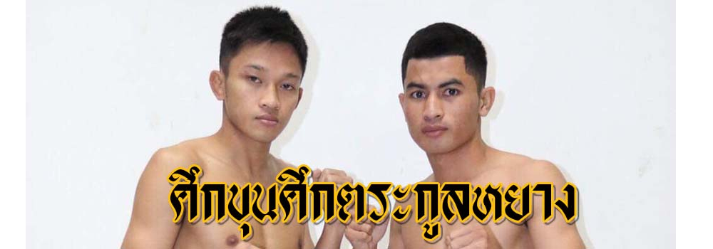 ศึกขุนศึกตระกูลหยาง