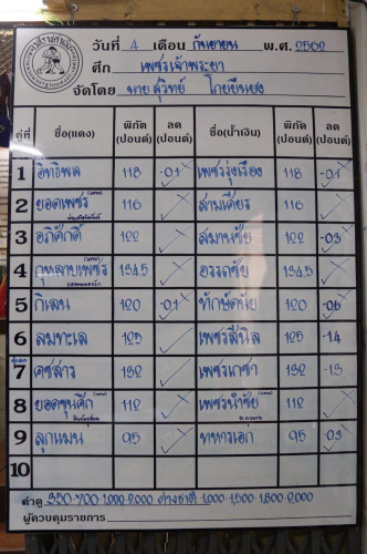 S__13049866