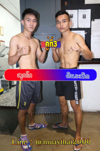 Lookrak_Dinrahbird_3-1