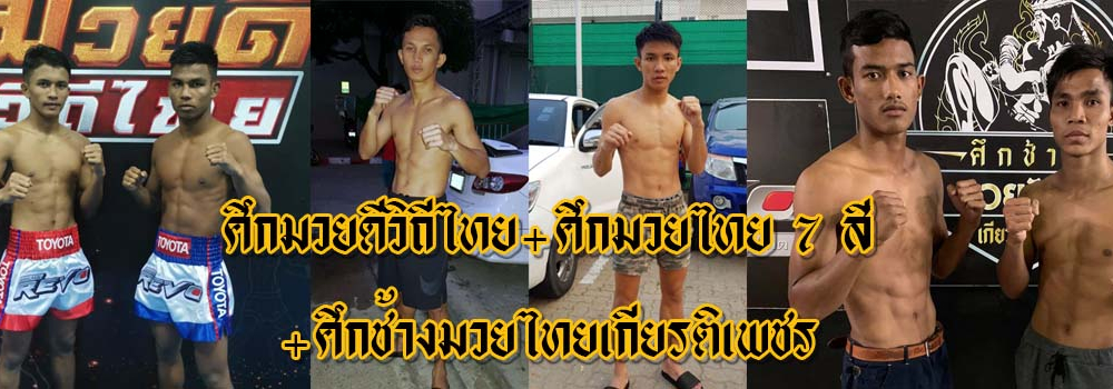 ศึกมวยดีวิถีไทย+ศึกมวยไทย7สี+ศึกช้างมวยไทยเกียรติเพชร