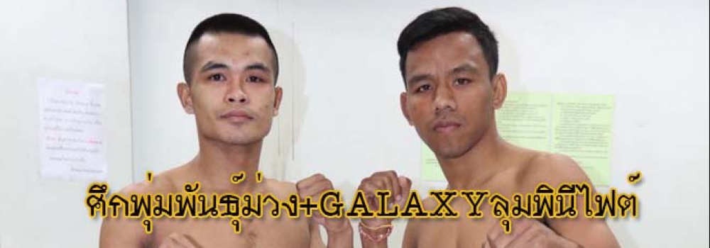 ศึกพุ่มพันธุ์ม่วง+GALAXYลุมพินีไฟต์