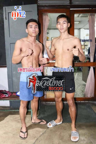 Phetmuangsree_Phetnopphakao_2-1