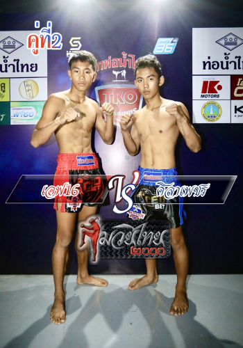 F16_Silaphet_2-1