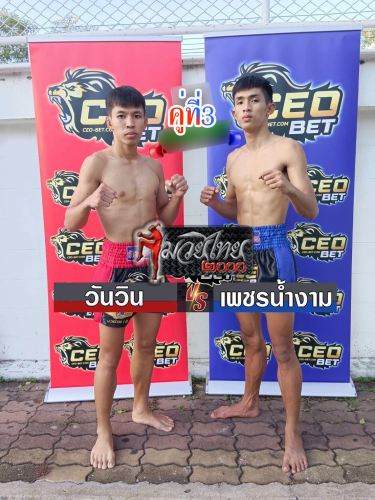 Wanwin_Phetnamngam_3-1