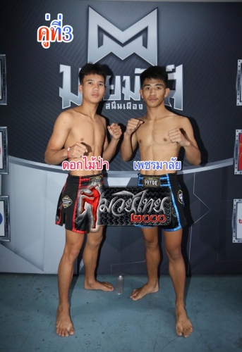 Dokmaipar_Phetmalai_3-1
