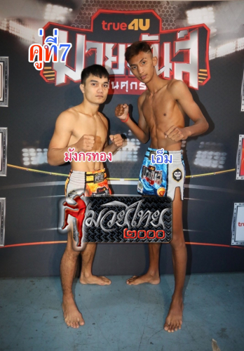 Mangkonthong_M_7-1