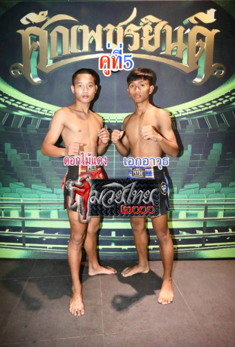 Dokmaidaeng_Ekawut_5-1