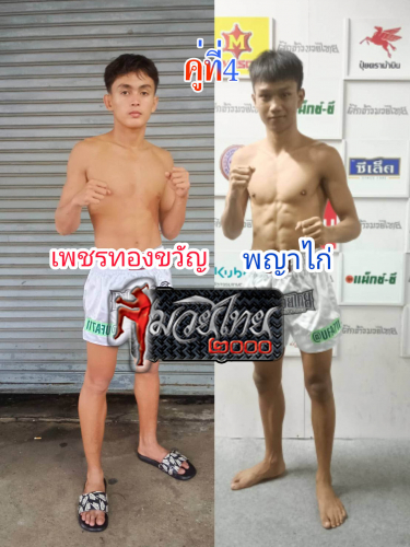 Phetthongkwan_Phayakai_4-1
