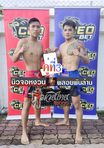 Newjonguan_Ployphanlan_3-1