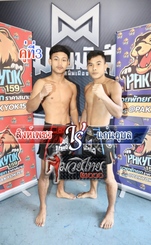 Singphet_Kaenaubol_3-1