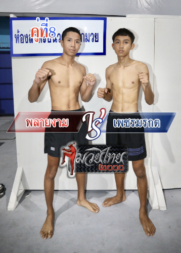 Playngam_Phetmorakot_8-1