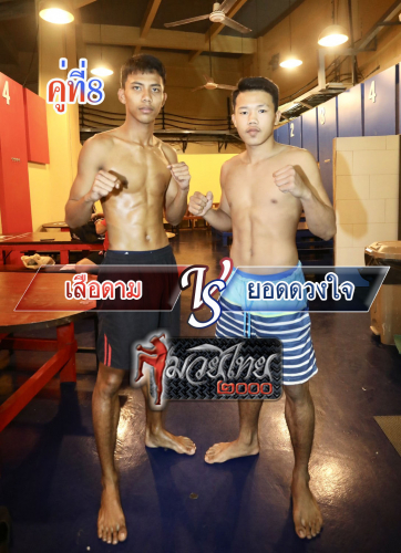 Suadam_Yodduangjai_8-1