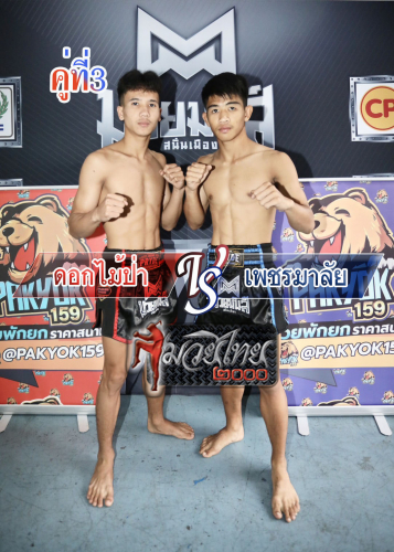 Dokmaipar_Phetmalai_3-1