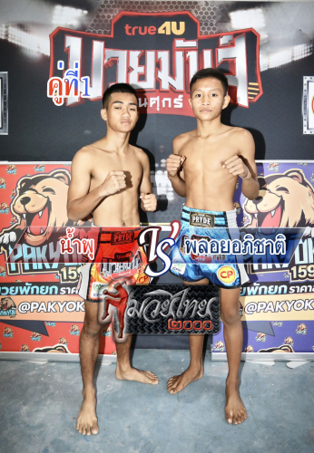 Namphu_Ployapichat_1-1