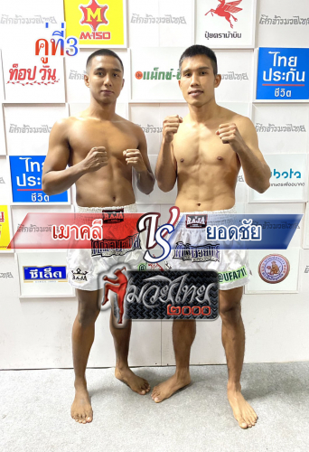 Maokli_Yodchai_3-1
