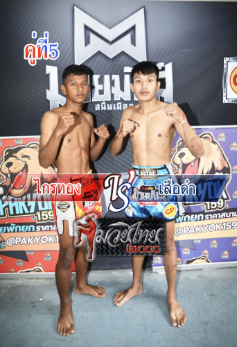 Kraithong_Suadam_5-1