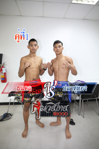 Thanadol_Platwothong_1-1
