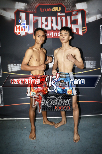 Phetphayak_Sakai_1-1