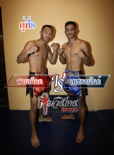 Sailoed_Phetanan_8-1