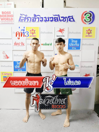 Ploywittaya_Phaidaeng_3-1
