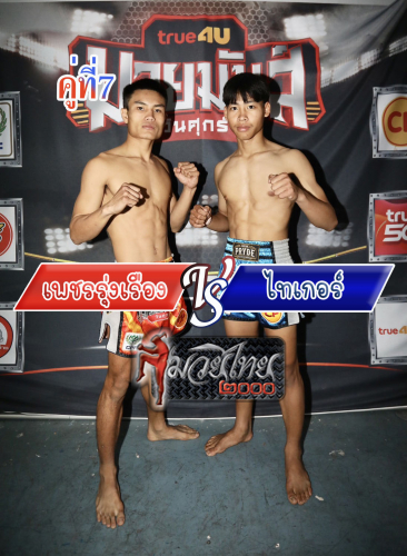 Phetrungruang_Tiger_7-1
