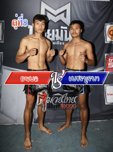 Thanapol_Phetburapha_8-1