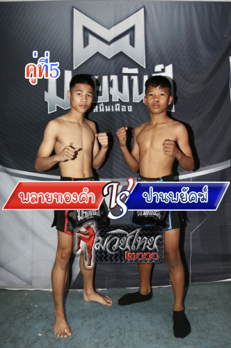 Playthongkham_Panphayak_5-1